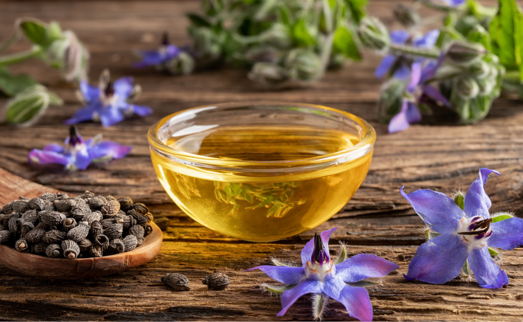 borage oil skin benefits