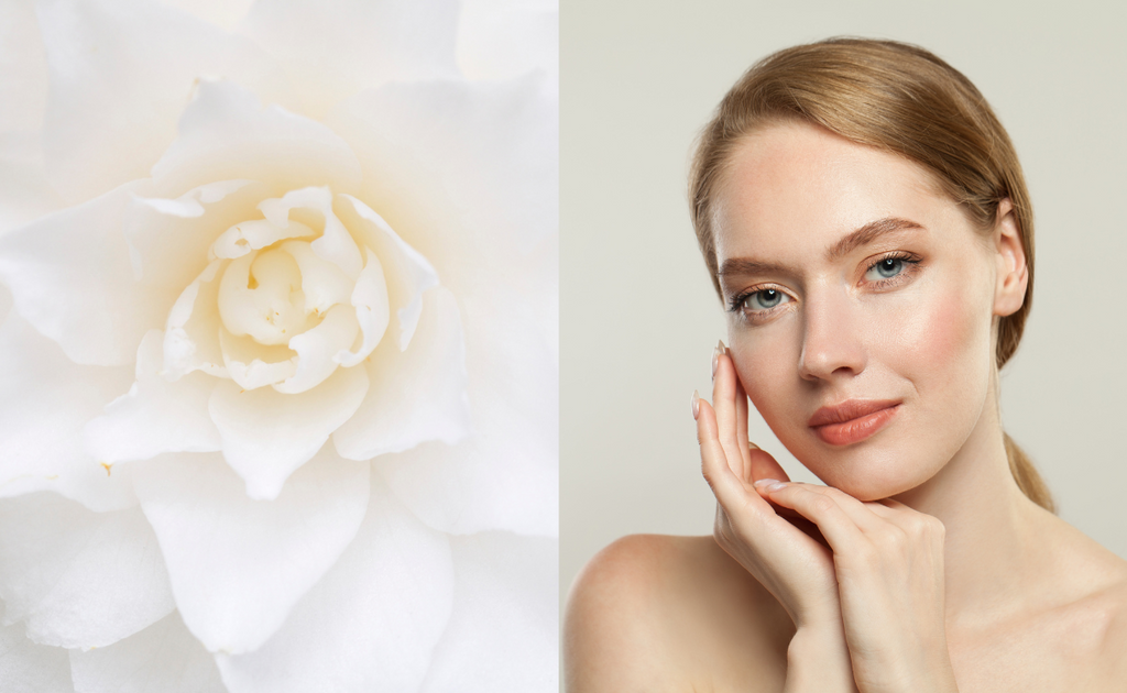 camelia seed oil skin benefits