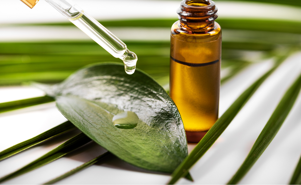 Tamanu Oil skin benefits