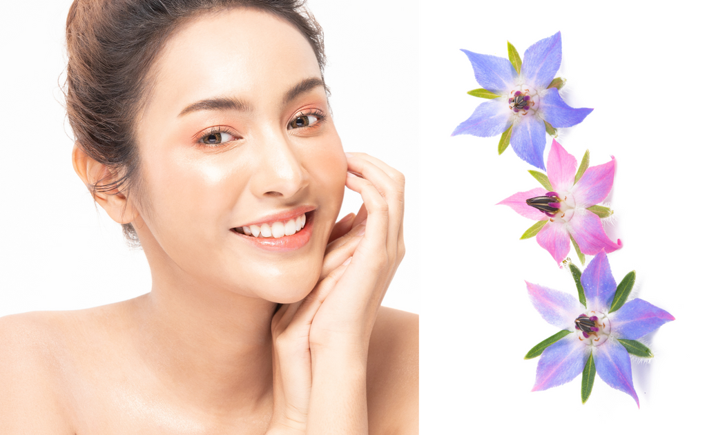 Gamma linolenic acid from borage oil benefits skin