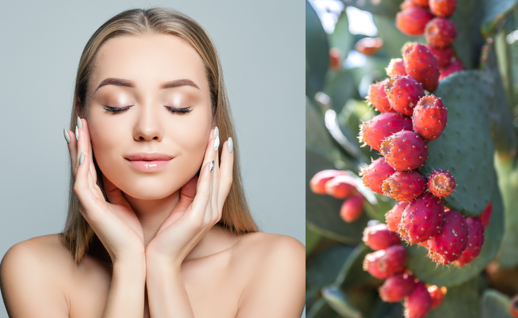 Skin Benefits of Prickly Pear Seed Oil