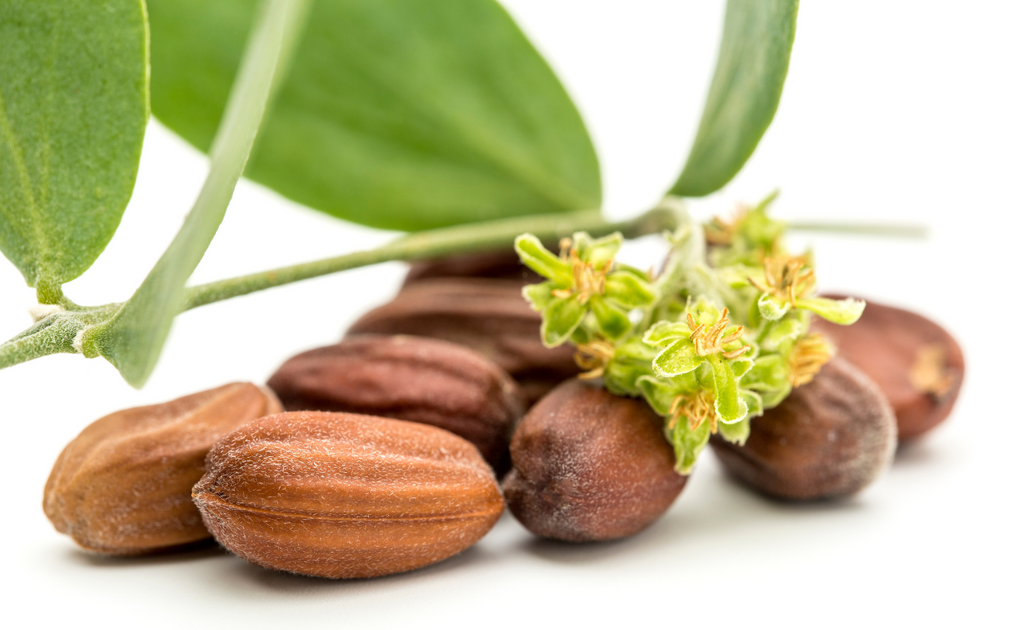 Jojoba oil is an excellent choice for body and massage oils due to its lightweight consistency and ability to absorb quickly into the skin.