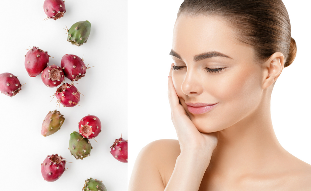Prickly Pear Seed Oil is a potent anti-aging agent