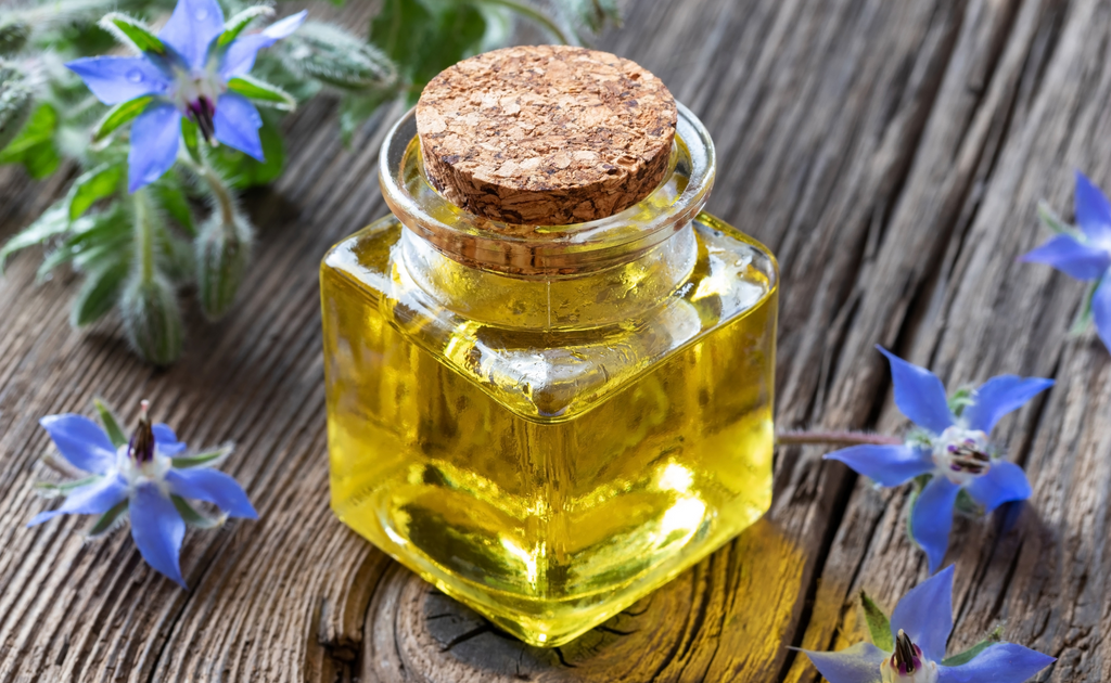 the many skin benefits of borage oil