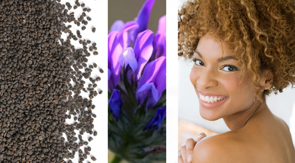Bakuchiol seeds, flower and woman