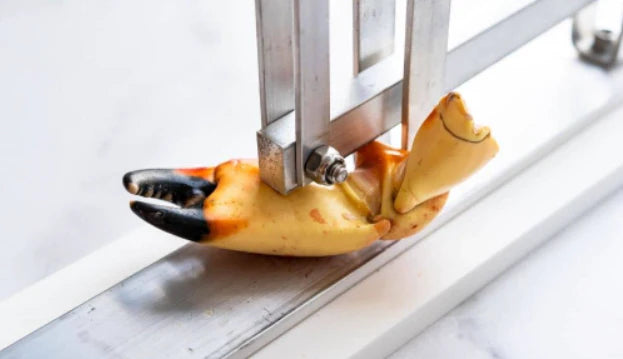 Professionally Cracked Claws - Captain Stone Crab product image