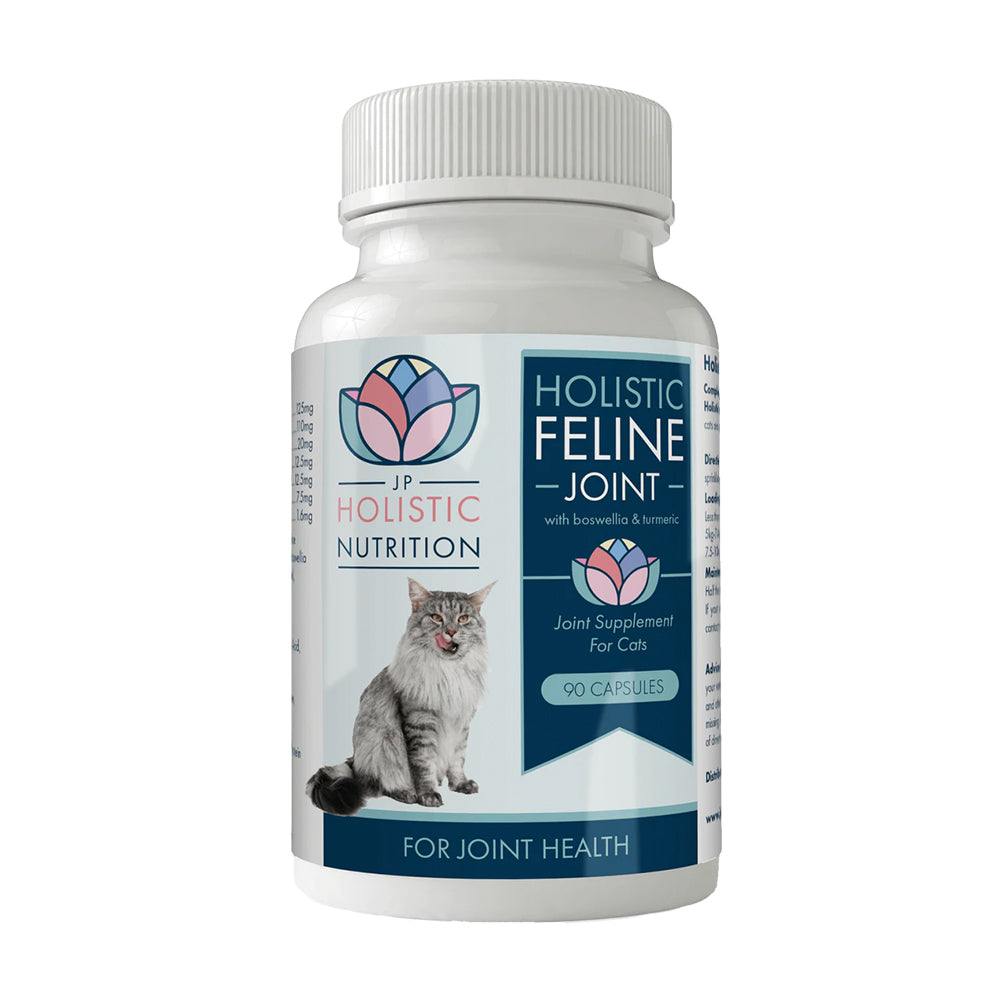 holistic cat supplements