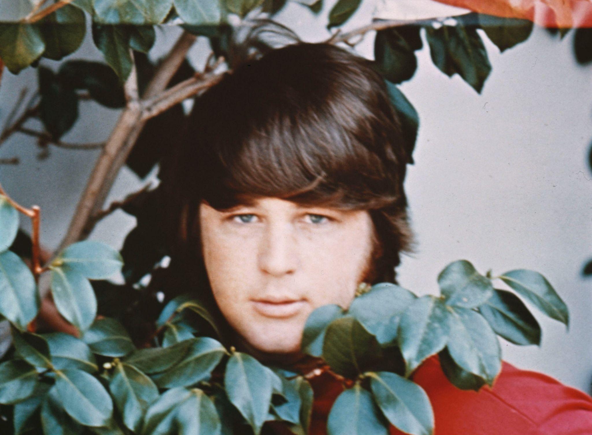 Brian Wilson in Foliage