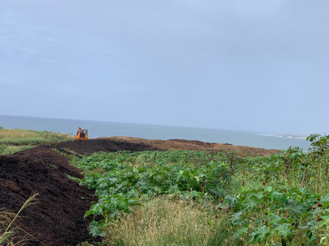 In the field with a tractor in the distance with a view of the ocean