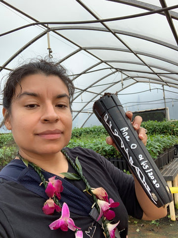 Ana holding up the coffee seed being planted