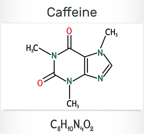 Chemical makeup of coffee