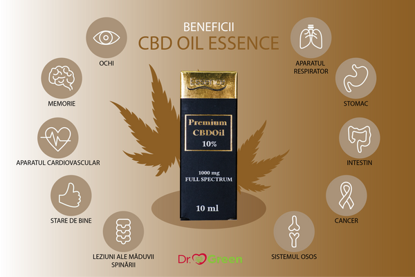 Beneficii CBD Oil 105 Essence Dr. Green
