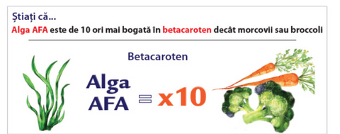 Alga Afa  Herbagetica - Dr Green