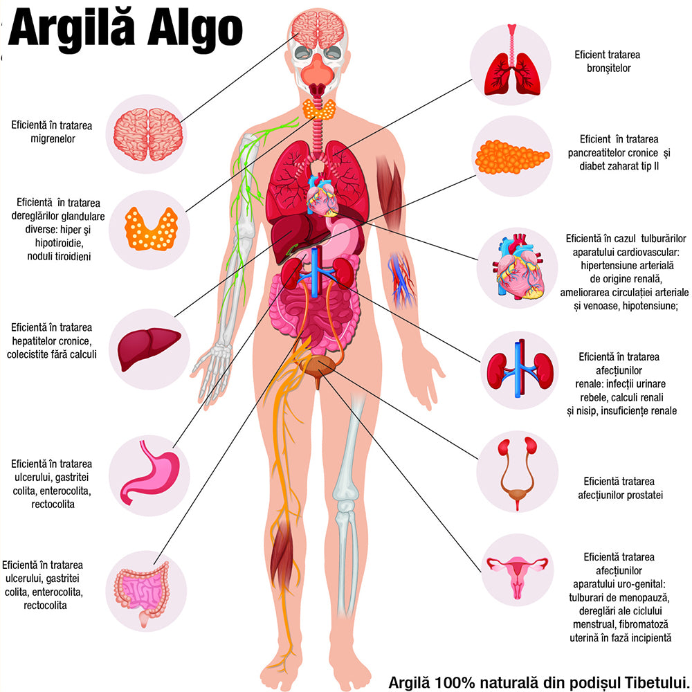 argila infografic