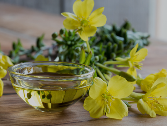 Evening_primrose_vitamina_E_roatta_natura_dr_green