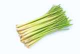 Citronella Dr. Green