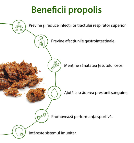 Curcuma si propolis_Famille Mary_Dr Green