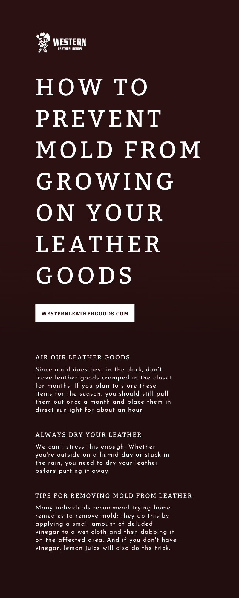 How To Prevent Mold From Growing on Your Leather Goods