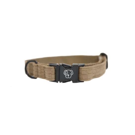 Billede af Kentucky Dog Collar Lizard - Brun