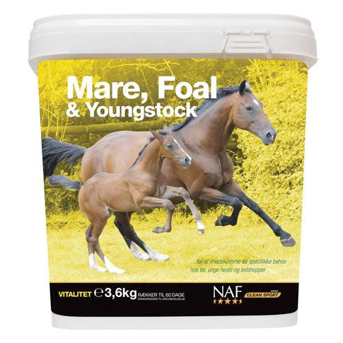 Billede af NAF Mare, Foal & Youngstock