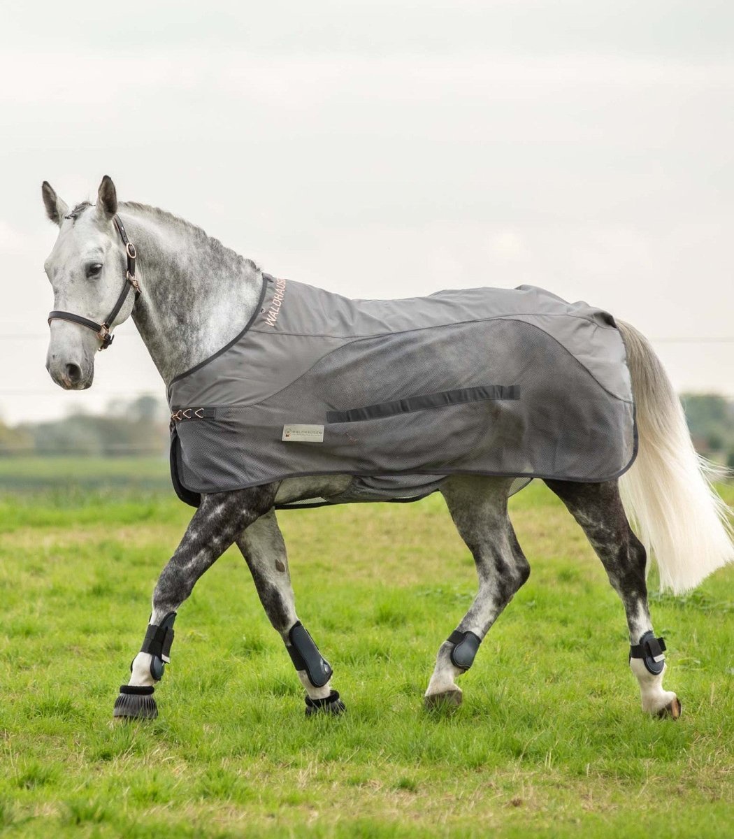 Se Waldhausen Comfort Rainsheet-Fly Rug hos animondo