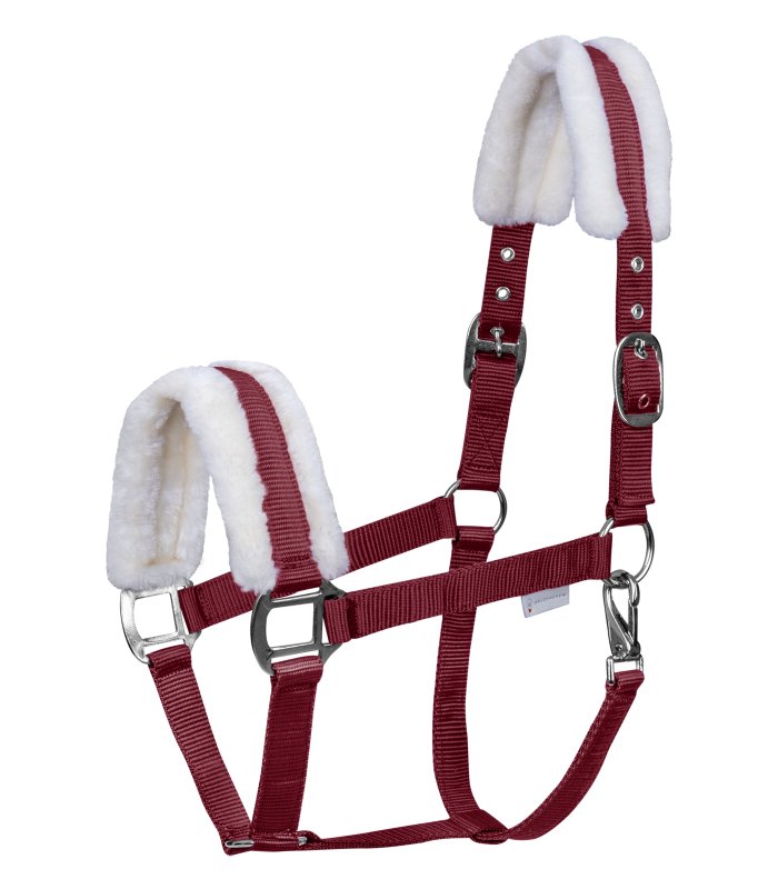 Billede af Waldhausen First Halter - Bordeaux