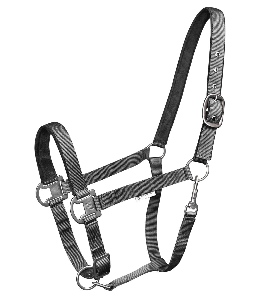 Billede af Waldhausen Gloomy Halter - Granite grey