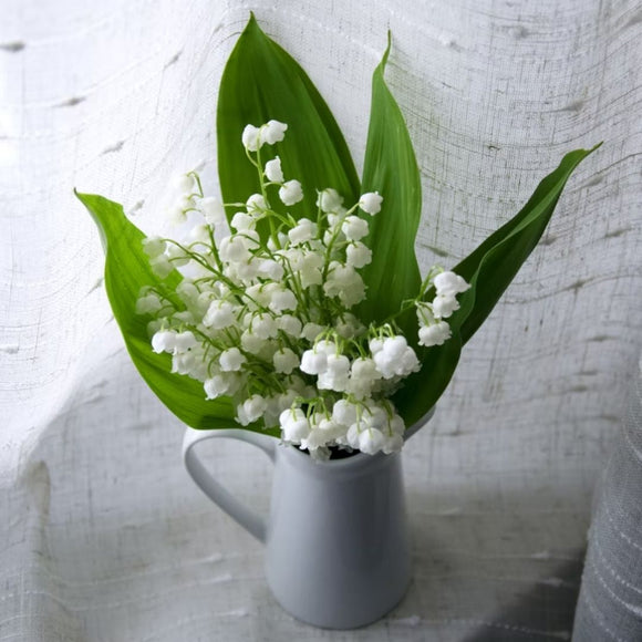 Fragrant Thoughts  Ingredient Spotlight: Muguet - STOCK FRAGRANCE