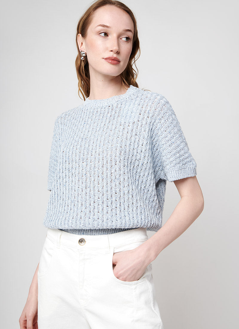 Lurex Knit Short-Sleeve Sweater