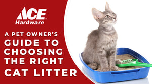 PawCheck Cat Litter for Urine Collection - Reusable and Non