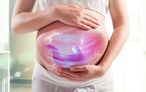 pregnancy and infant health