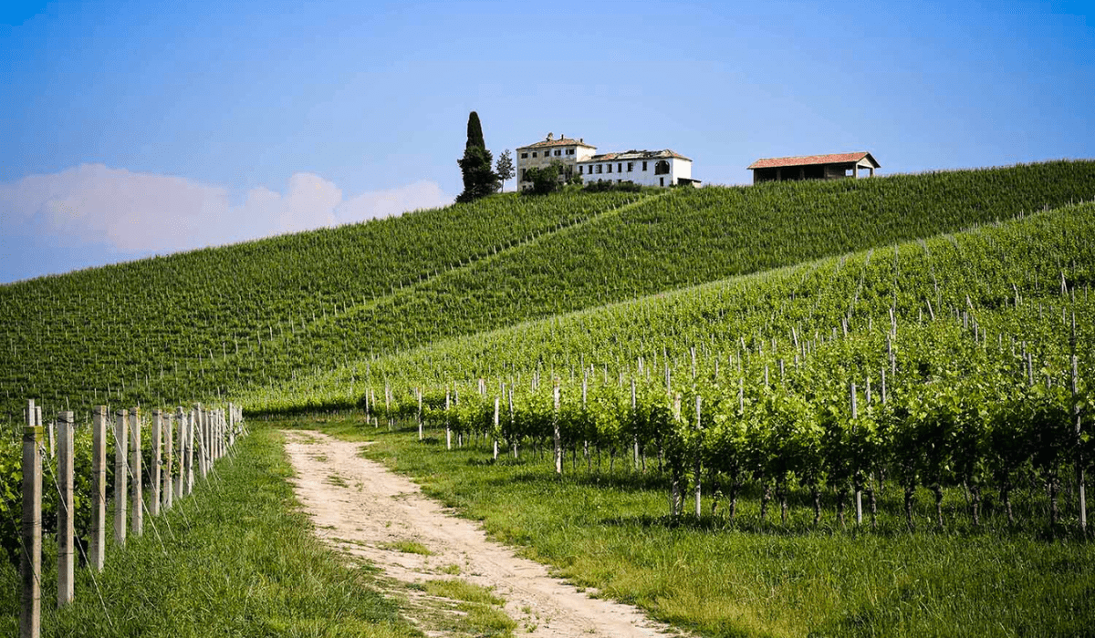 Il Podio Tenuta Carretta