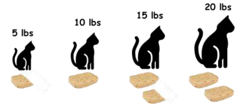 Daily Feeding Amounts for Cats