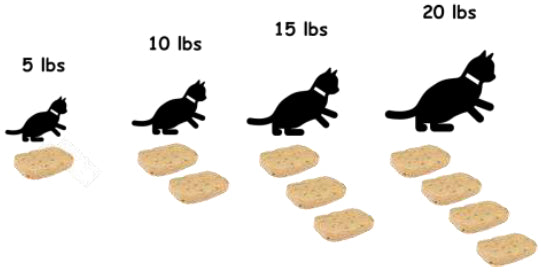 Daily Feeding Amounts for Kittens and Gestating/Lactating Moms