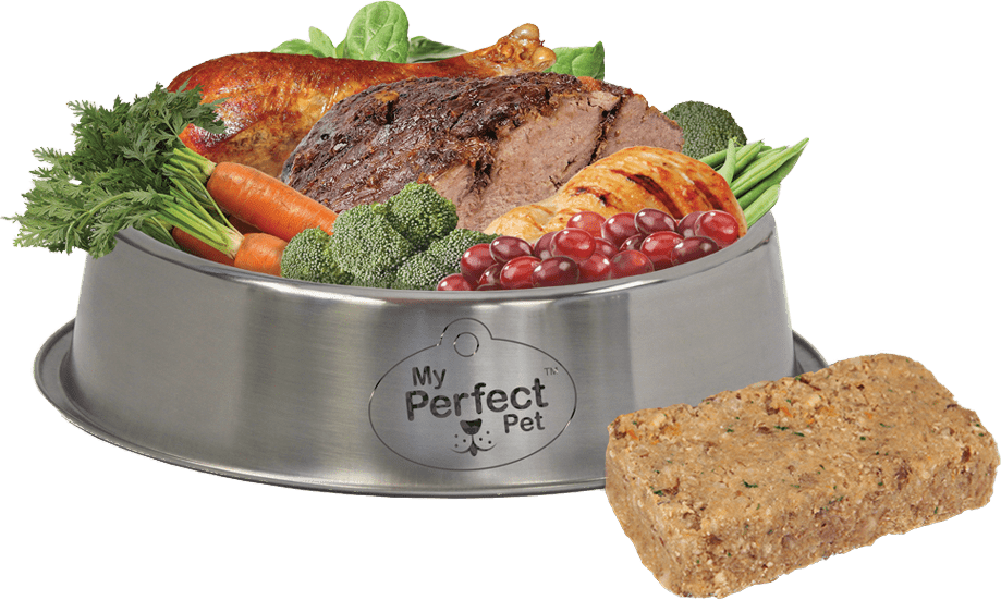 Fresh whole foods in a silver My Perfect Pet bowl next to an individual food bar