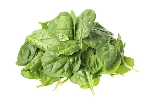 Fresh spinach