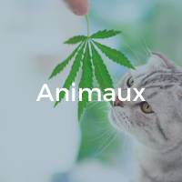 produits pour animaux au cbd herbalcura nantes rezé