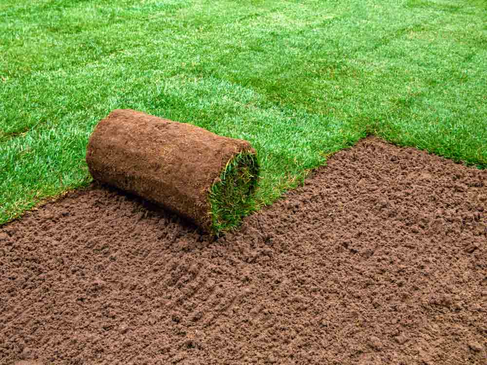 Unrolling Sod