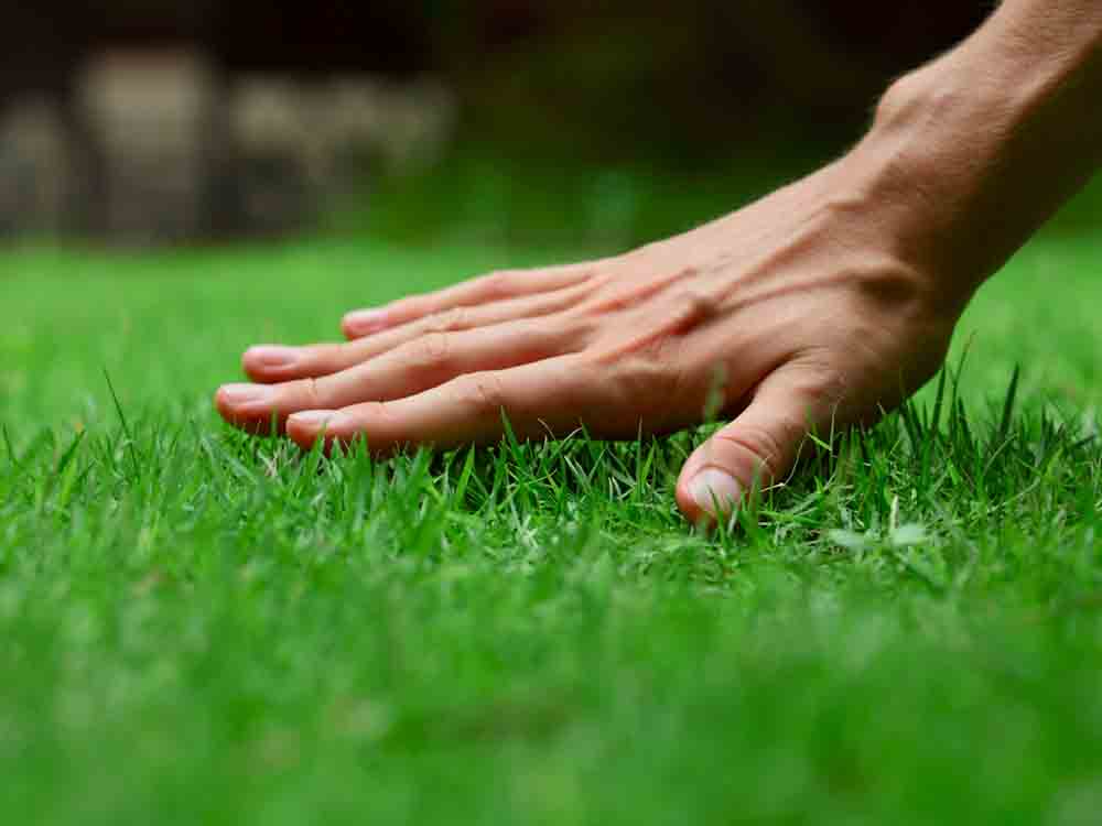 Hand on grass