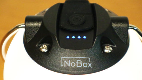 NoBox ノーボックス　グローブライト　20237002