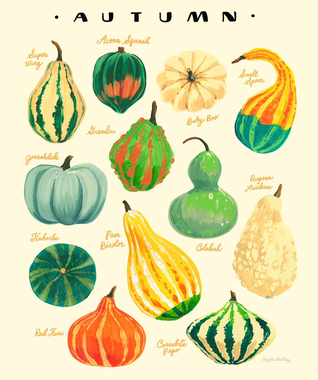 harvest gourd fall illustration