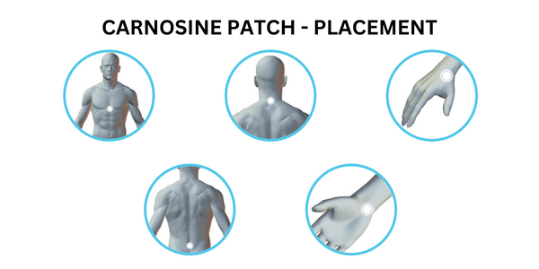 where to put the carnosine patch