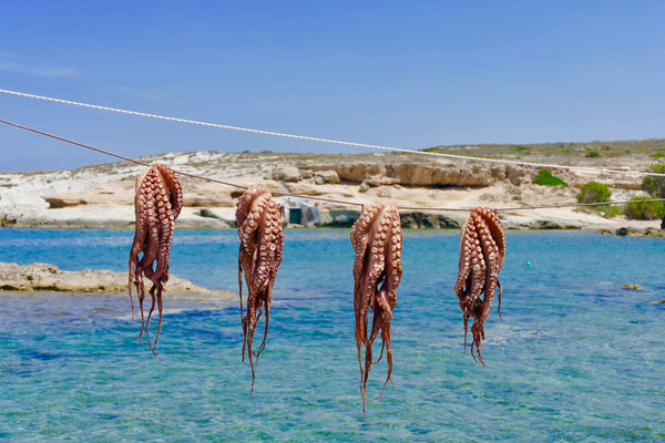 Mandrakia, Milos Island