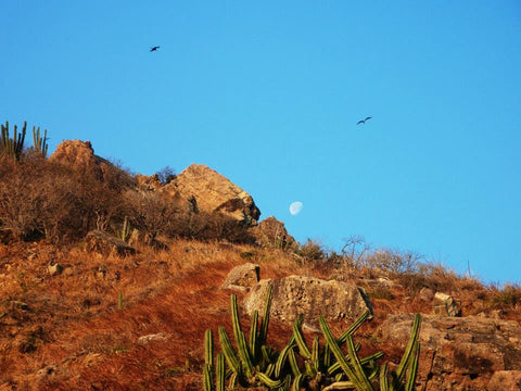 Salina Cruz Mexico