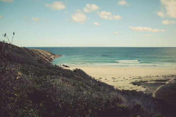 Treachery, Seal Rocks NSW Mid North Coast