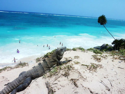 Tulum Mexico