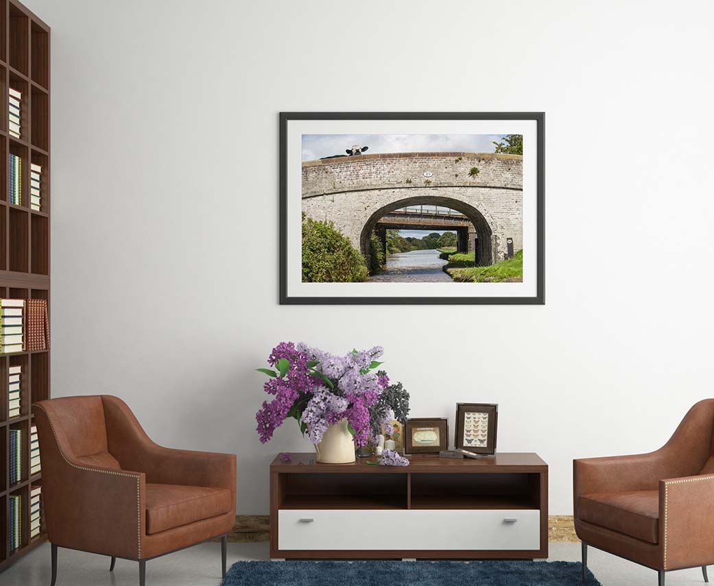Cow Bridge 89 photograph be Rojo - LaRue framed print in a library