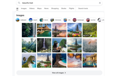 Google search of Beautiful Bali images
