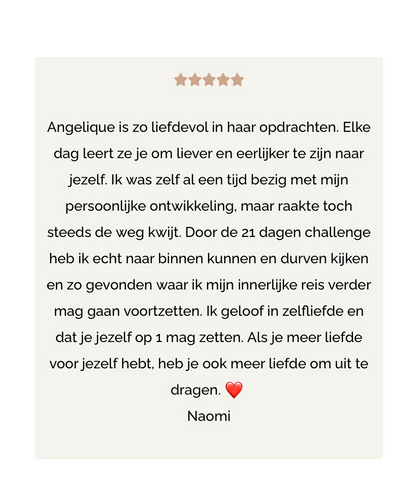 Review Ontmoet jezelf programma