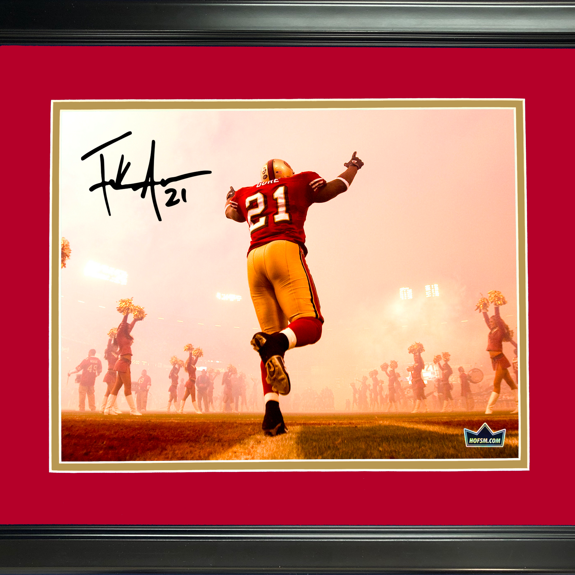 san francisco 49ers frank gore